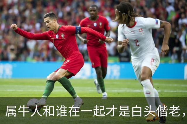 属牛人和谁在一起才是白头偕老，幸福生活到晚年